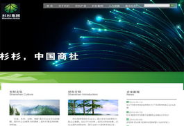 龍泉電腦綜合服務(wù) 網(wǎng)站開(kāi)發(fā)、維修與數(shù)據(jù)安全保障